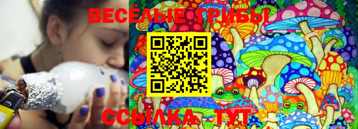 Галлюциногенные грибы Psilocybe  Галлюциногенные грибы Cubensis  Брянск  Вход с VPN 